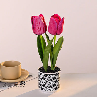 Beyond Tulip Pot