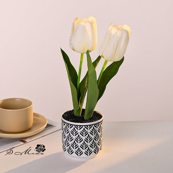Beyond Tulip Pot