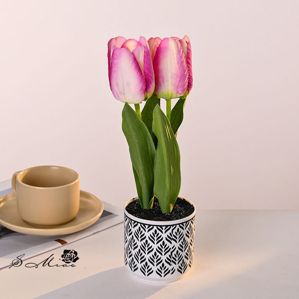 Beyond Tulip Pot