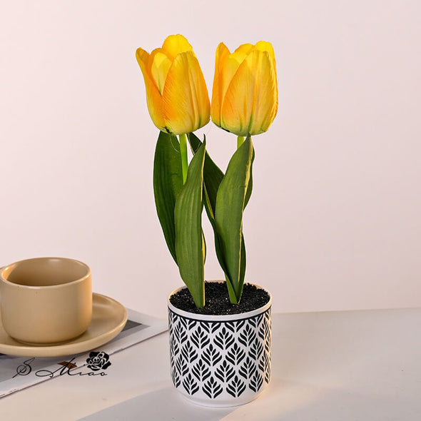 Beyond Tulip Pot